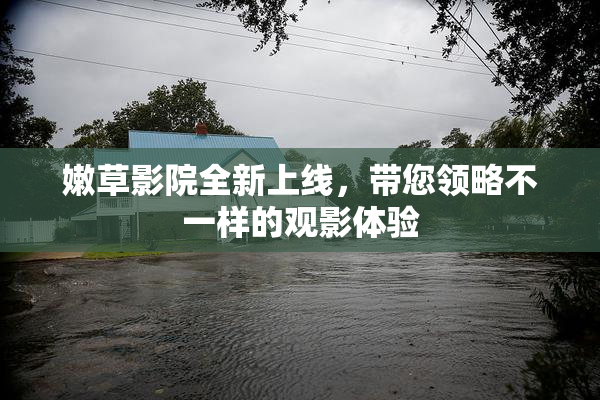 嫩草影院全新上线，带您领略不一样的观影体验