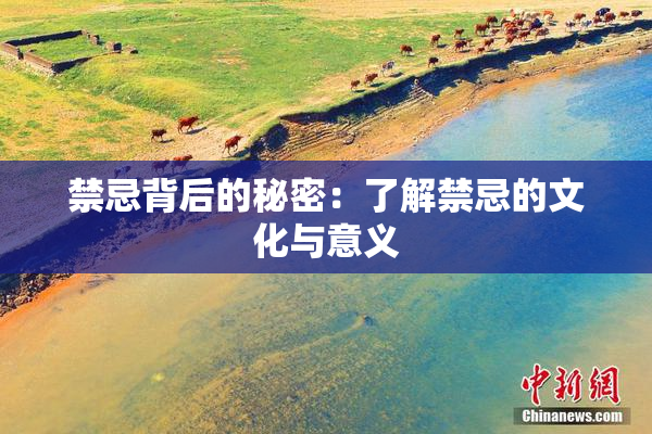禁忌背后的秘密：了解禁忌的文化与意义