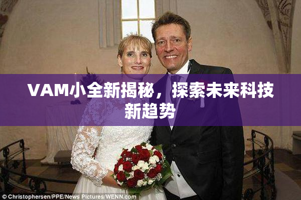 VAM小全新揭秘，探索未来科技新趋势