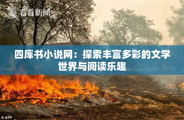四库书小说网：探索丰富多彩的文学世界与阅读乐趣