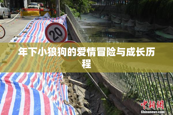 年下小狼狗的爱情冒险与成长历程