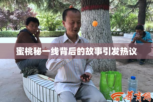 蜜桃秘一线背后的故事引发热议