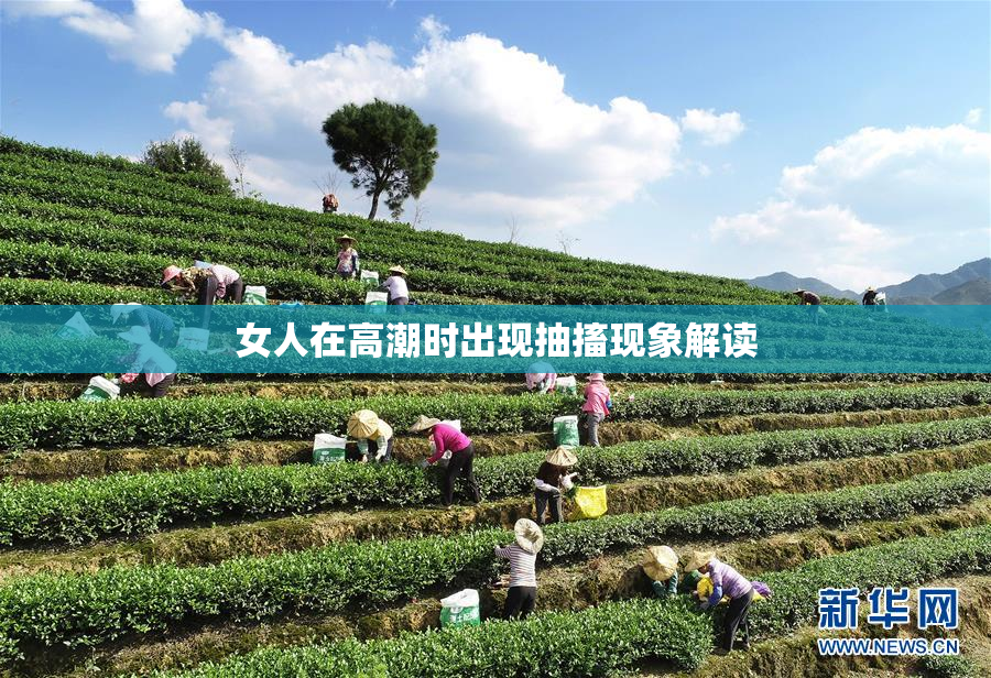 女人在高潮时出现抽搐现象解读