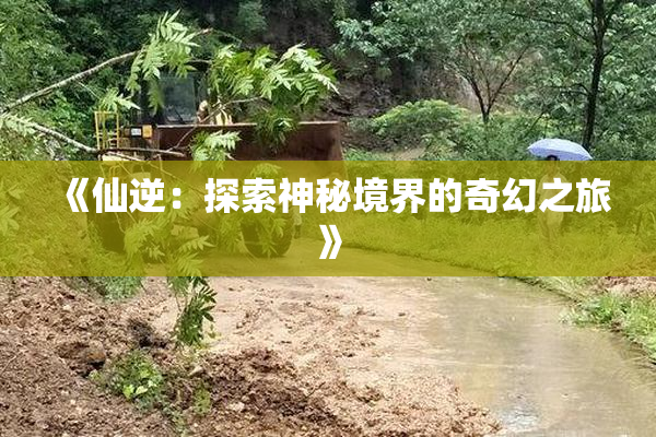 《仙逆：探索神秘境界的奇幻之旅》