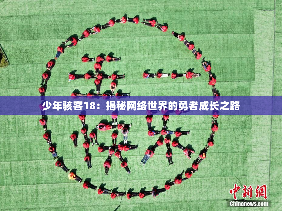 少年骇客18：揭秘网络世界的勇者成长之路