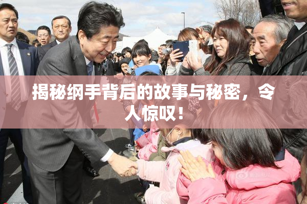 揭秘纲手背后的故事与秘密，令人惊叹！