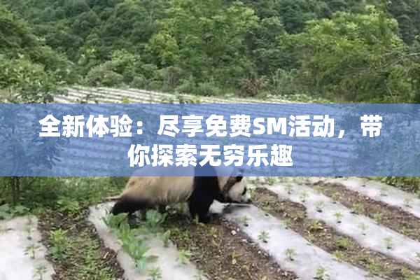 全新体验：尽享免费SM活动，带你探索无穷乐趣