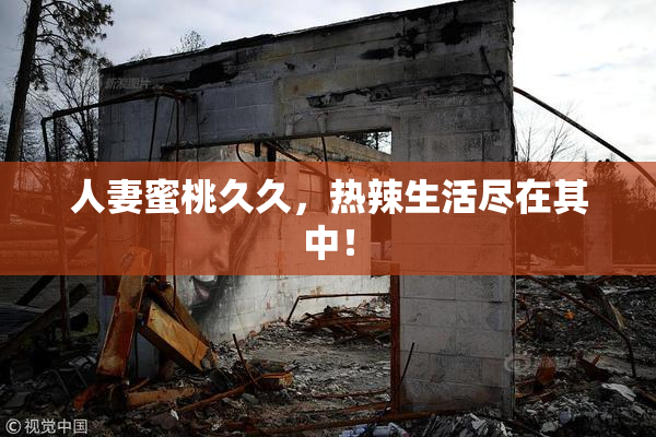 人妻蜜桃久久，热辣生活尽在其中！