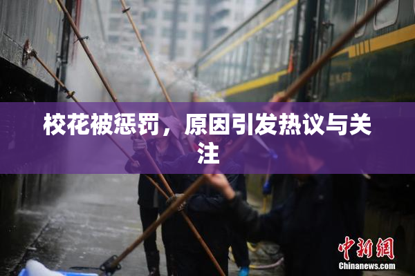 校花被惩罚，原因引发热议与关注
