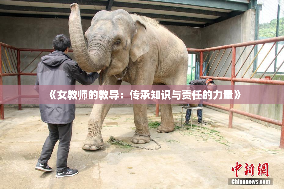 《女教师的教导：传承知识与责任的力量》