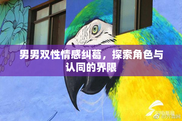 男男双性情感纠葛，探索角色与认同的界限