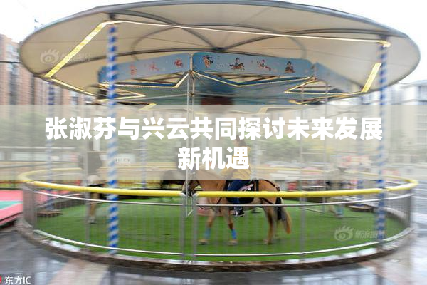 张淑芬与兴云共同探讨未来发展新机遇