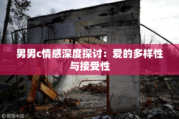 男男c情感深度探讨：爱的多样性与接受性