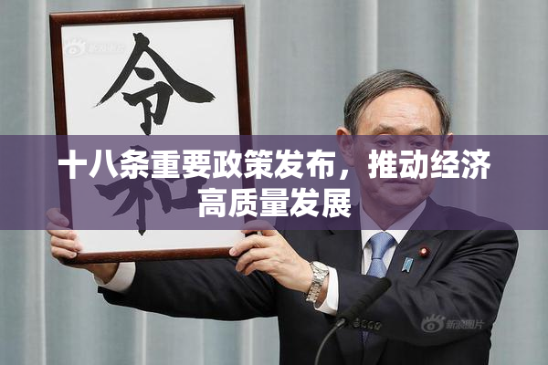 十八条重要政策发布，推动经济高质量发展