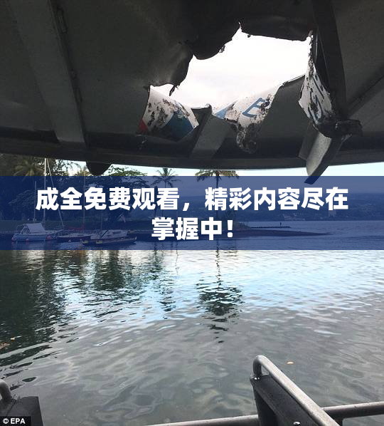 成全免费观看，精彩内容尽在掌握中！