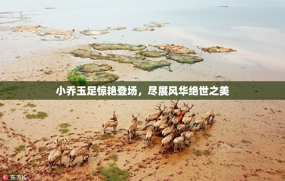 小乔玉足惊艳登场，尽展风华绝世之美