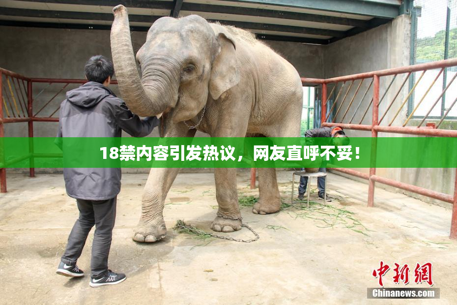 18禁内容引发热议，网友直呼不妥！