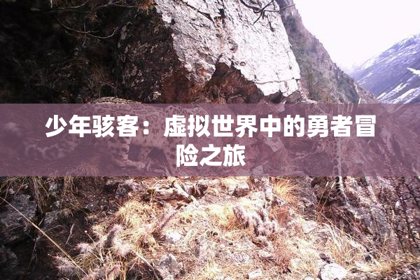 少年骇客：虚拟世界中的勇者冒险之旅