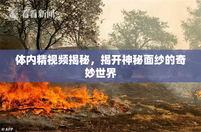 体内精视频揭秘，揭开神秘面纱的奇妙世界
