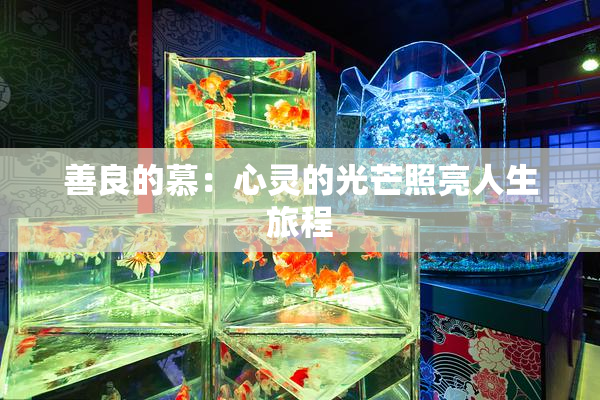 善良的慕：心灵的光芒照亮人生旅程
