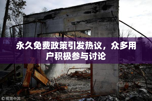 永久免费政策引发热议，众多用户积极参与讨论