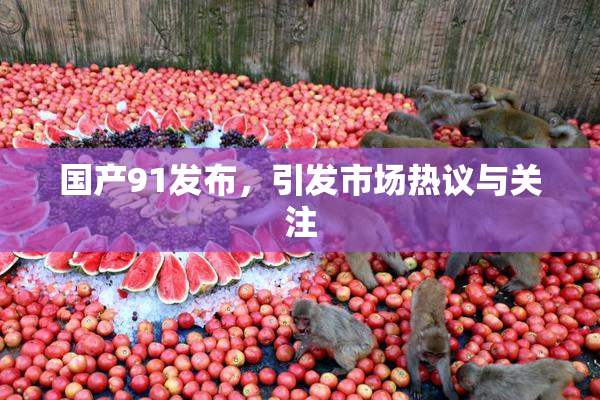 国产91发布，引发市场热议与关注