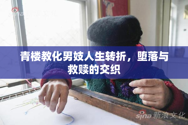 青楼教化男妓人生转折，堕落与救赎的交织