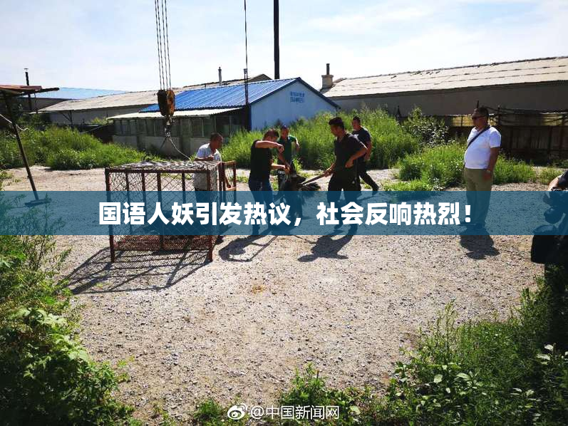 国语人妖引发热议，社会反响热烈！