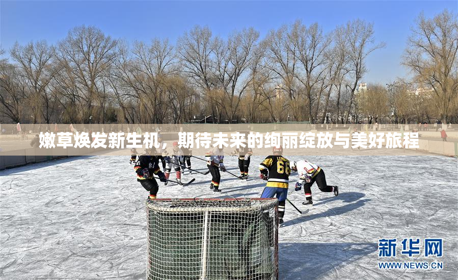 嫩草焕发新生机，期待未来的绚丽绽放与美好旅程