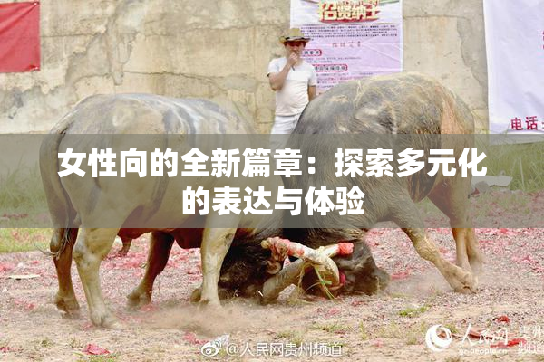 女性向的全新篇章：探索多元化的表达与体验