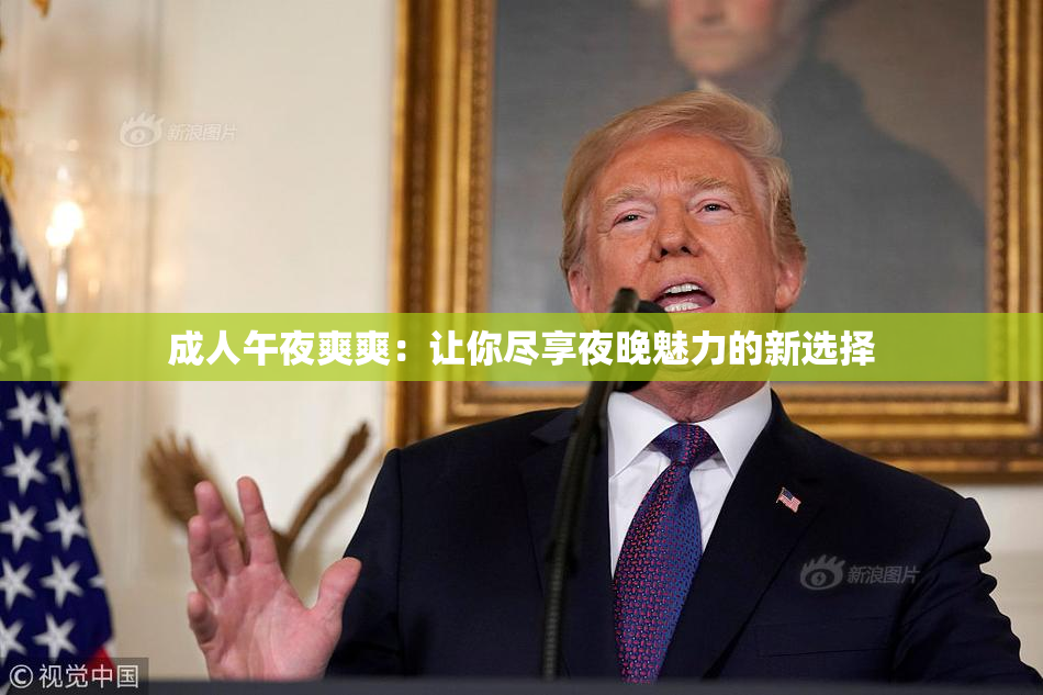成人午夜爽爽：让你尽享夜晚魅力的新选择