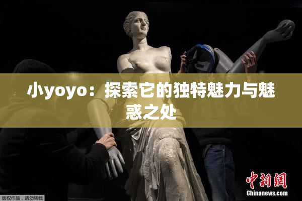 小yoyo：探索它的独特魅力与魅惑之处