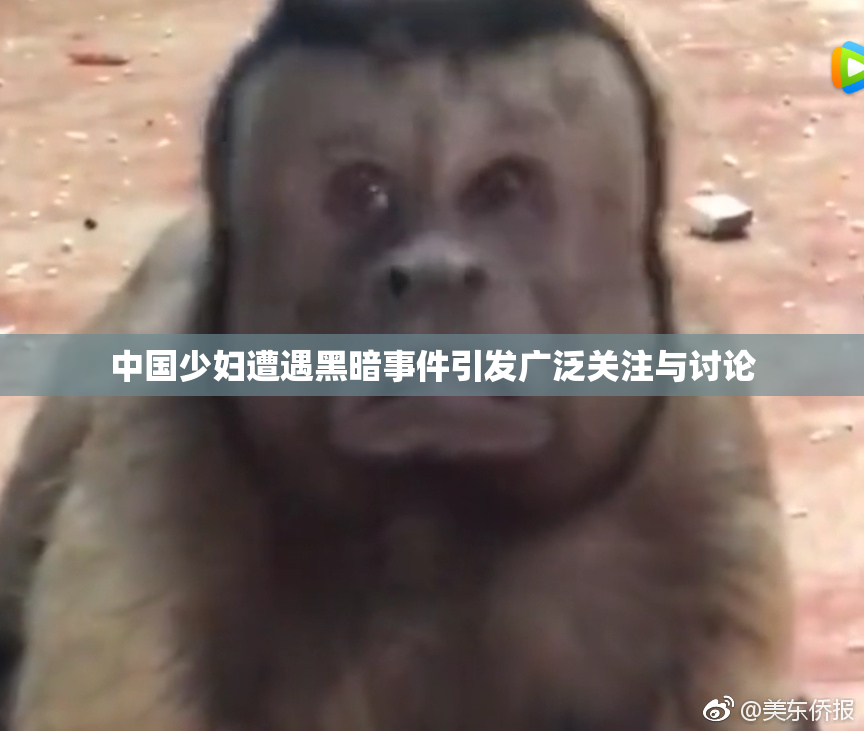 中国少妇遭遇黑暗事件引发广泛关注与讨论