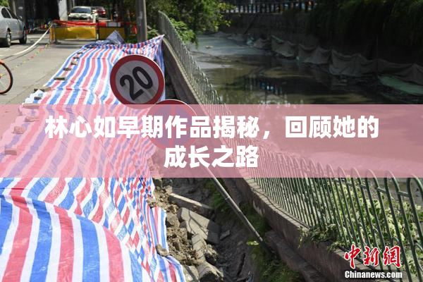 林心如早期作品揭秘，回顾她的成长之路