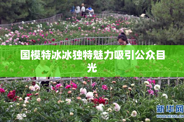 国模特冰冰独特魅力吸引公众目光