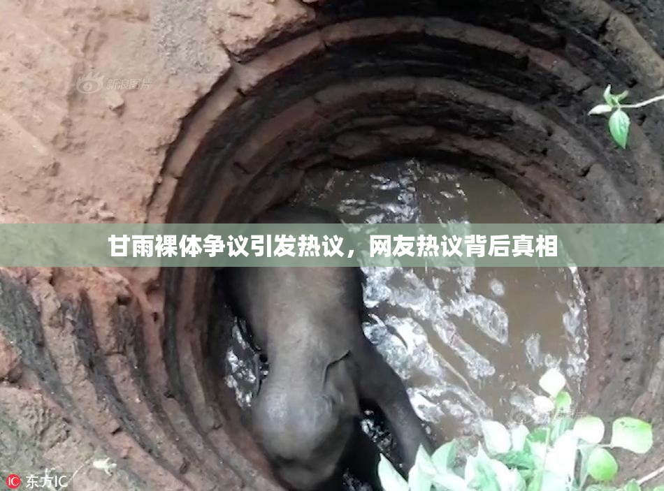 甘雨裸体争议引发热议，网友热议背后真相