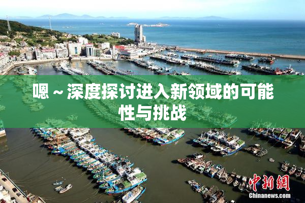 嗯～深度探讨进入新领域的可能性与挑战