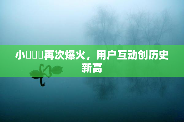 小藍視頻再次爆火，用户互动创历史新高