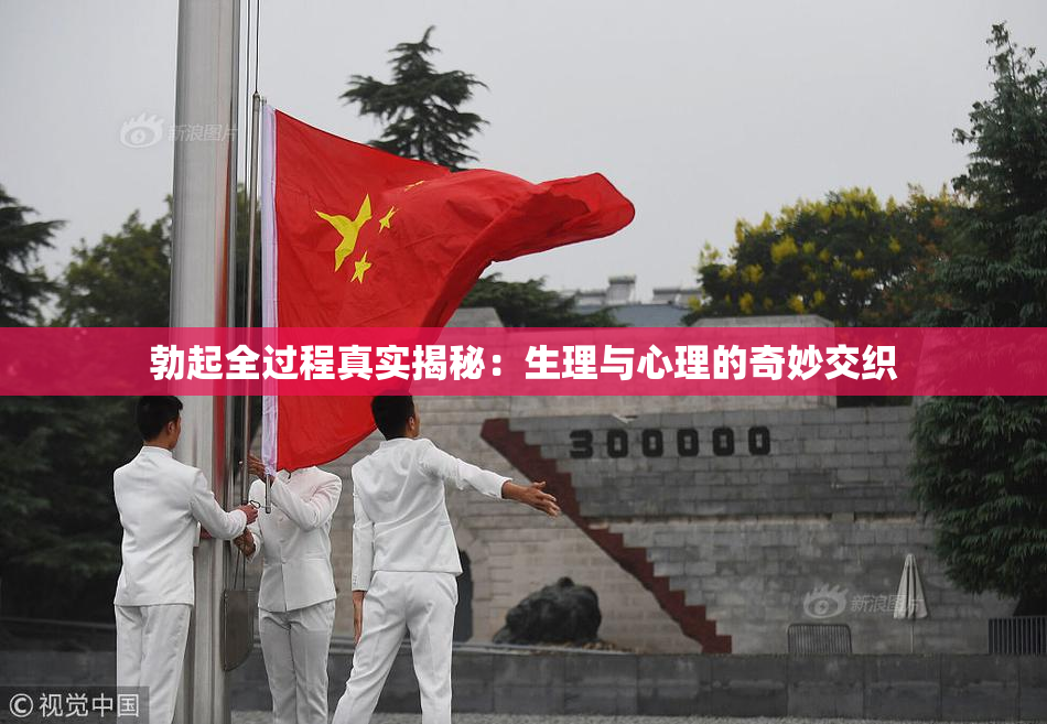 勃起全过程真实揭秘：生理与心理的奇妙交织