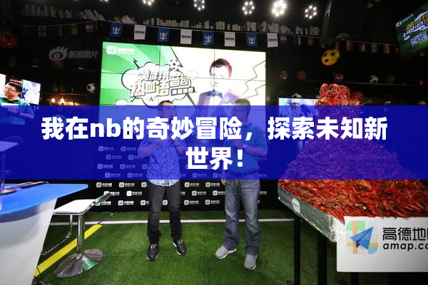 我在nb的奇妙冒险，探索未知新世界！