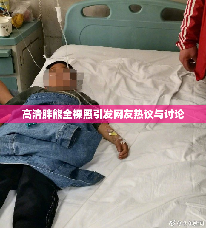 高清胖熊全裸照引发网友热议与讨论