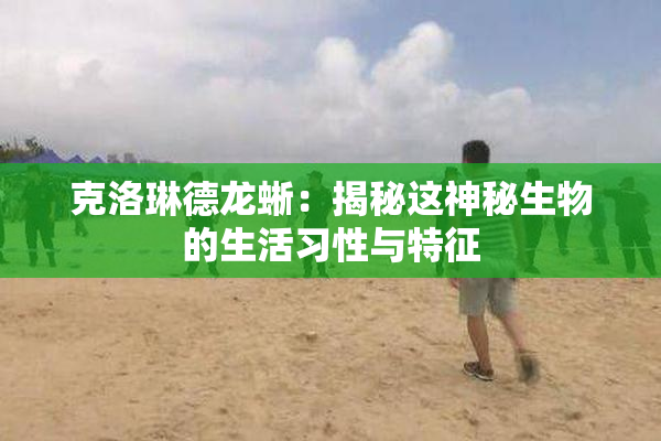 克洛琳德龙蜥：揭秘这神秘生物的生活习性与特征