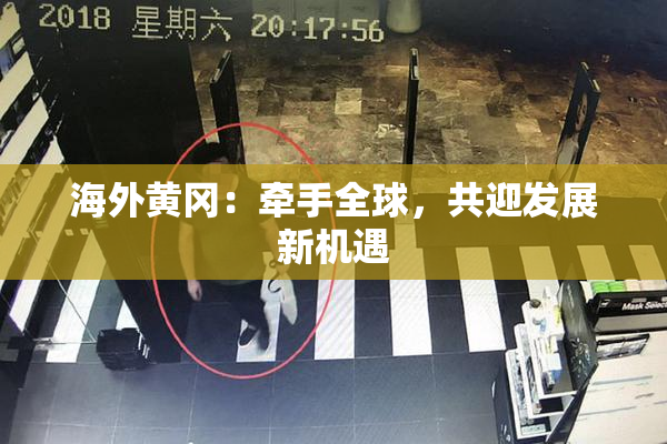 海外黄冈：牵手全球，共迎发展新机遇