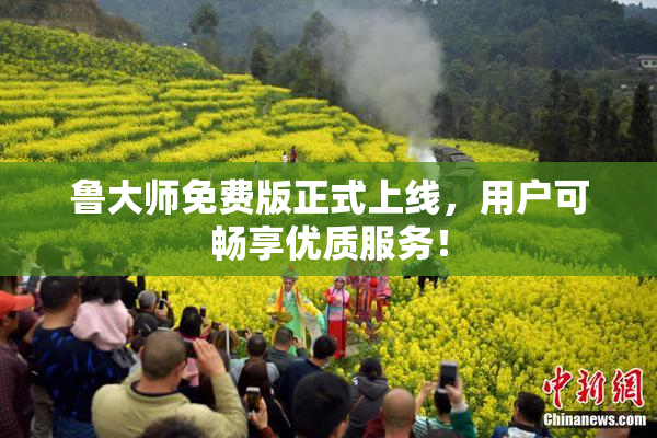鲁大师免费版正式上线，用户可畅享优质服务！