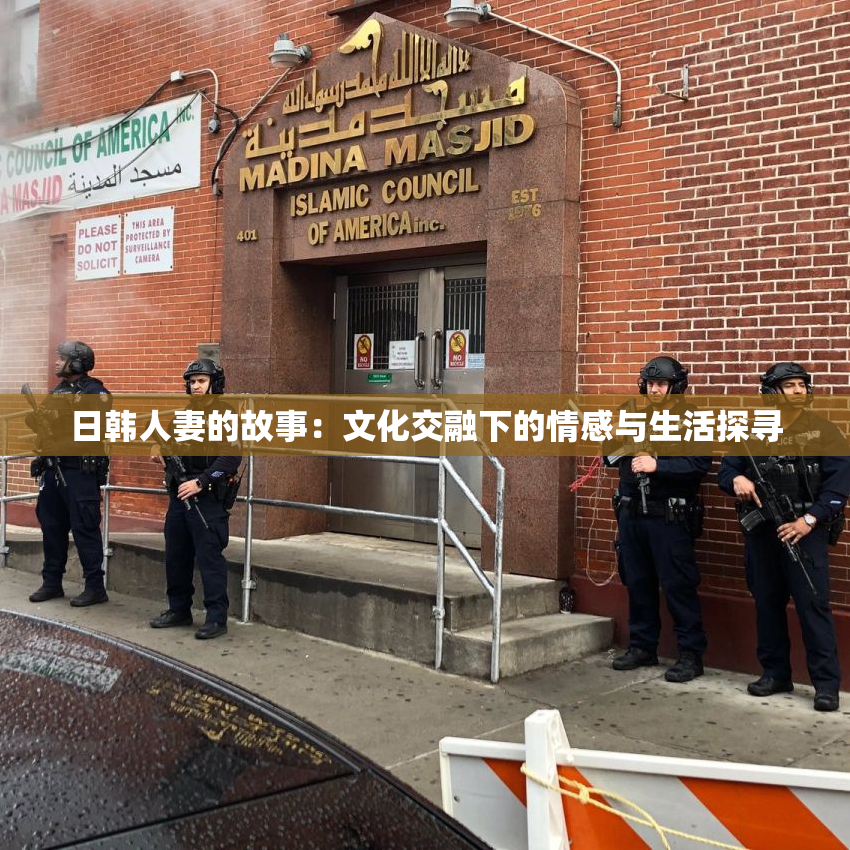 日韩人妻的故事：文化交融下的情感与生活探寻