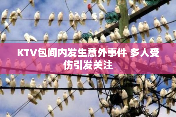 KTV包间内发生意外事件 多人受伤引发关注