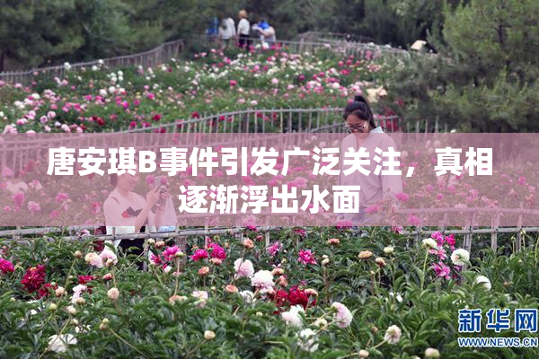 唐安琪B事件引发广泛关注，真相逐渐浮出水面