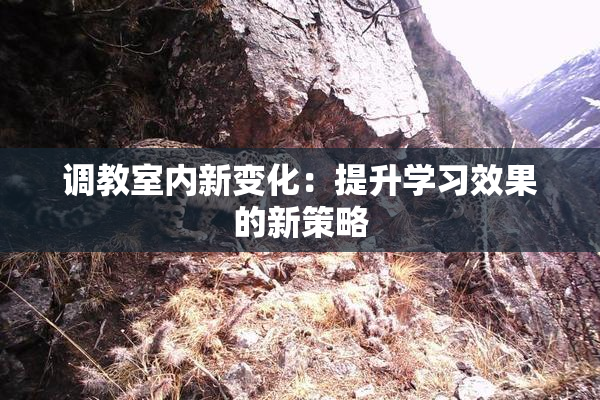 调教室内新变化：提升学习效果的新策略