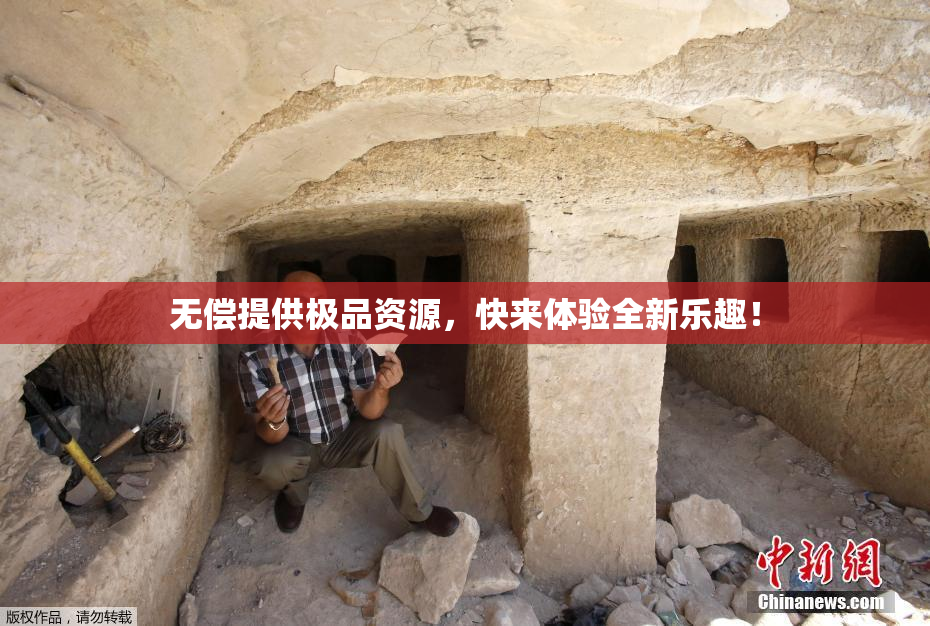 无偿提供极品资源，快来体验全新乐趣！