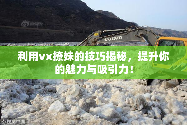 利用vx撩妹的技巧揭秘，提升你的魅力与吸引力！